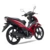 Igm Velocity 130 - Imagen 4