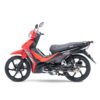 moto igm camellito 125 2026