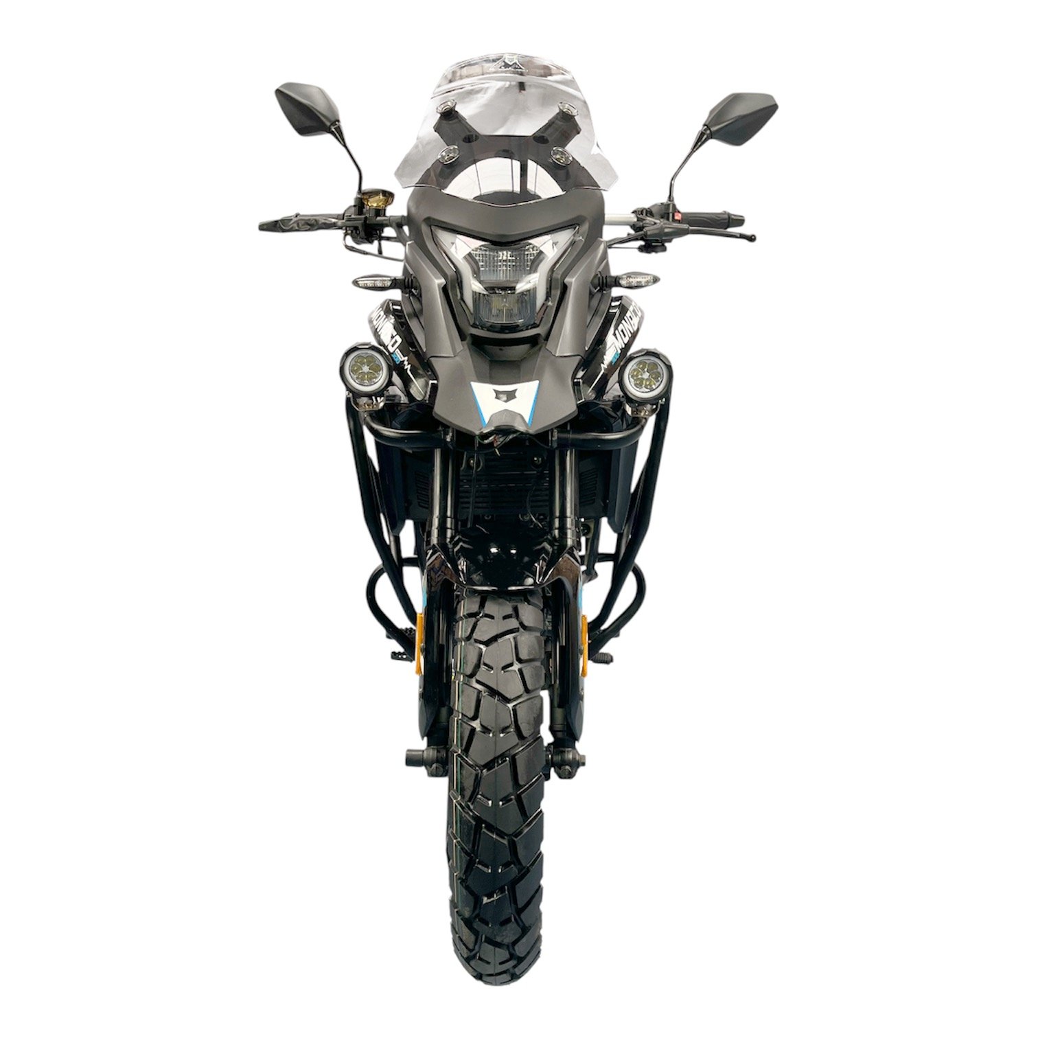 monacogrisfrontal monacogrisfrontal