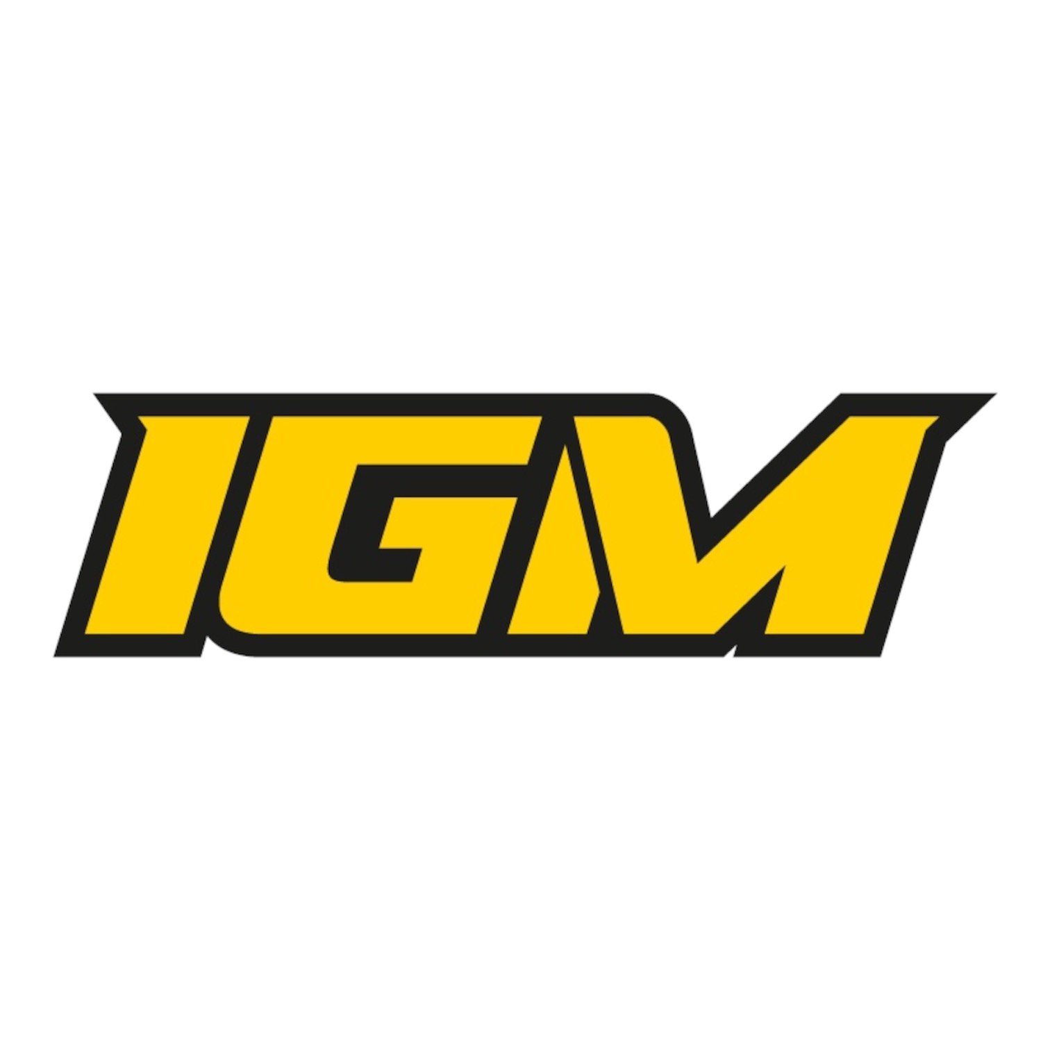 Home logocuadradoigm